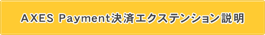 AXES Payment決済エクステンション説明